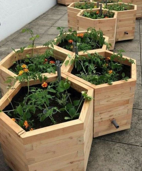 (image for) Hexagon Planter