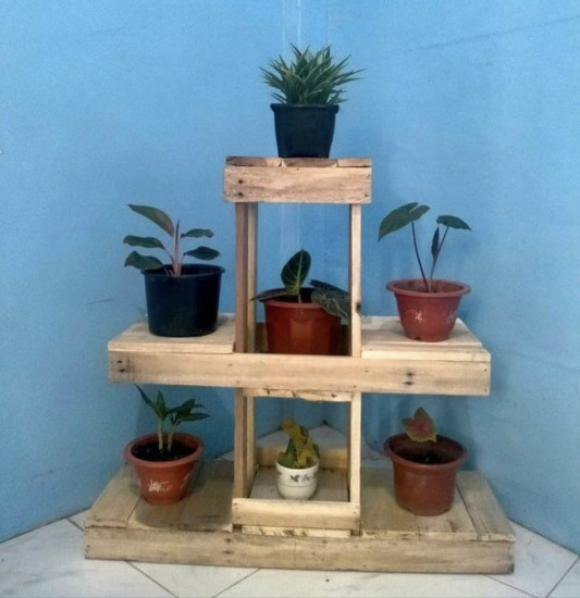 (image for) Plant-Display