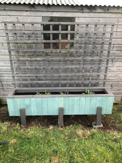 (image for) Planter-Trellis