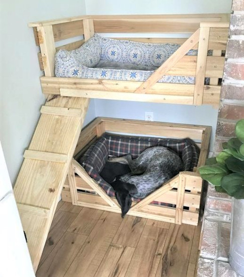 (image for) dual-level-dog-bed